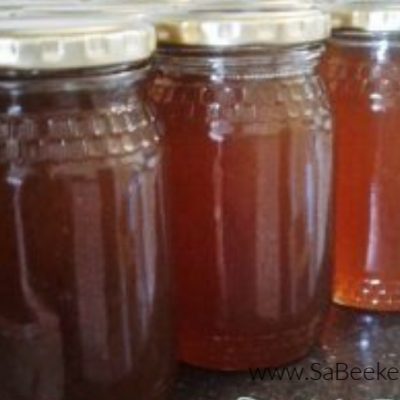 Bottling Honey