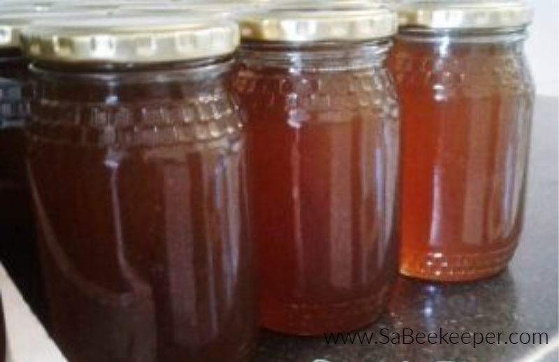 honey bottled and ready to label