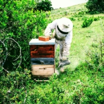 bee keeper