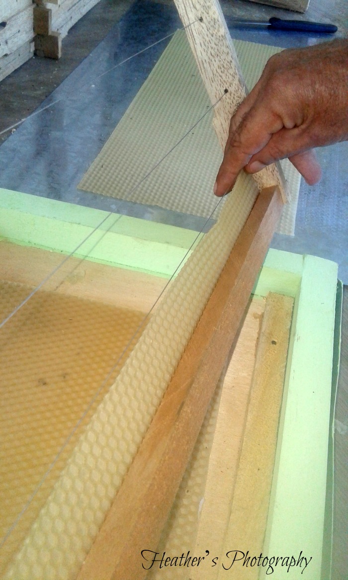 strips of pieces of bees wax sheets to help bees to start making a comb