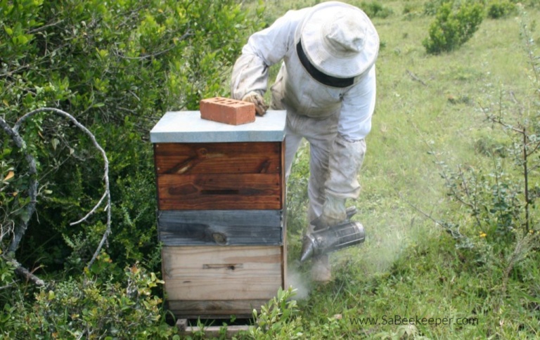 All about who the beekeepers are and what they experience