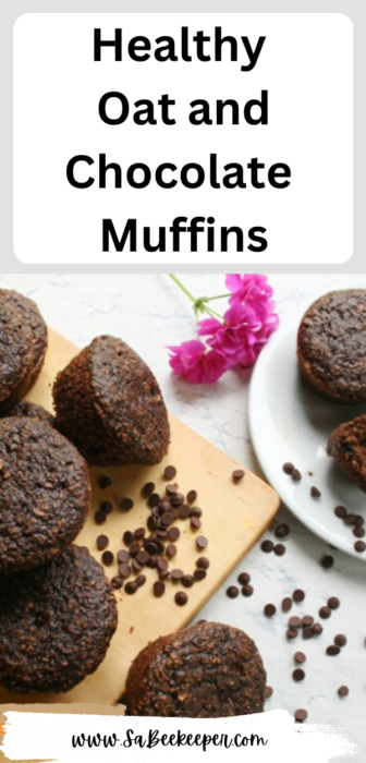 Healthy Oat and Chocolate Muffins recipe that's filling. Healthy ingredients like banana, honey, chocolate for a breakfast, or dessert.