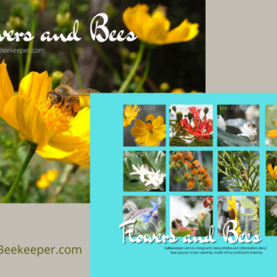 Calendar 2021 of Flowers and Bees