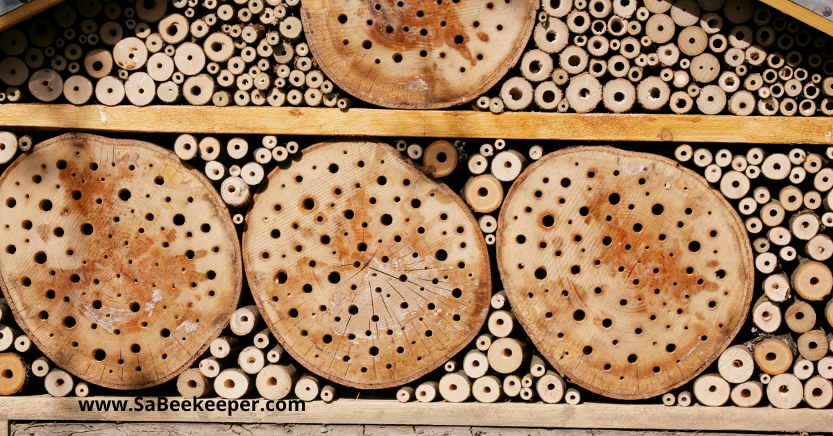 A larger bee hotel showing the various sizes of tubes and diameters needed for the different species of bees and some logs as well.