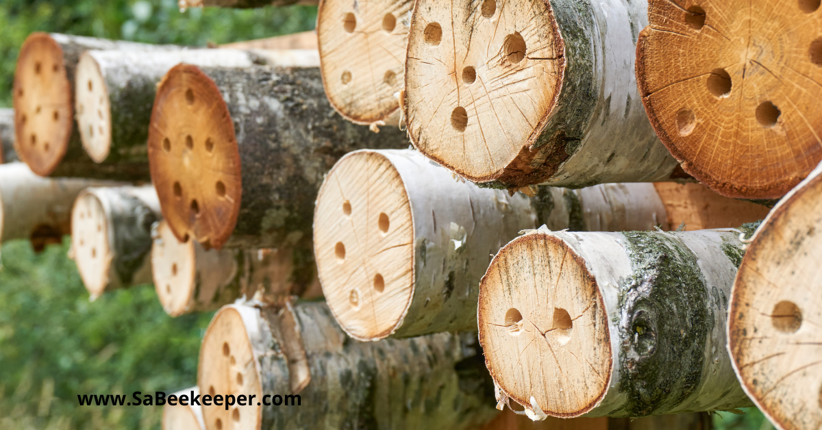 logs with holes drilled in for the nesting of solitary bees placed in the field