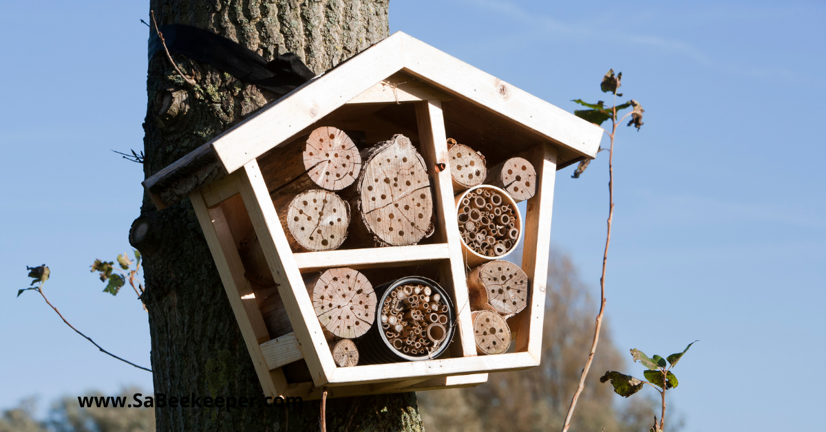 a bee hotel made with logs and round holders for the reeds and bamboo, hanging on a tree