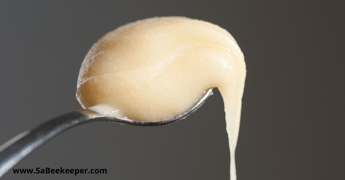 a spoon of creamy canola honey