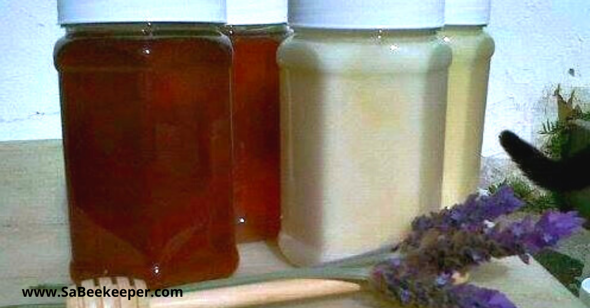 darker "fynbos"  or Eucalyptus honey and two jars of lighter creamy canola honey. 