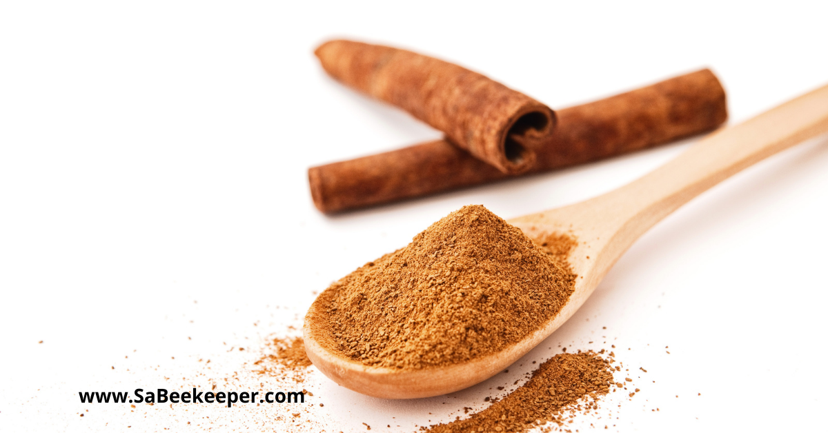 ground cinnamon for the apple cider honey remedy