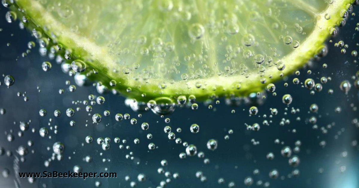 pieces of lime in some sparkling water.