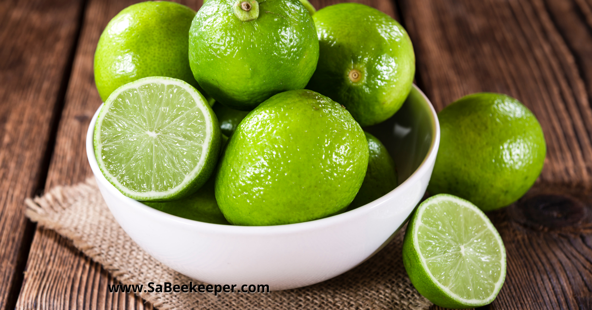 a bowl of fresh limes for juicing