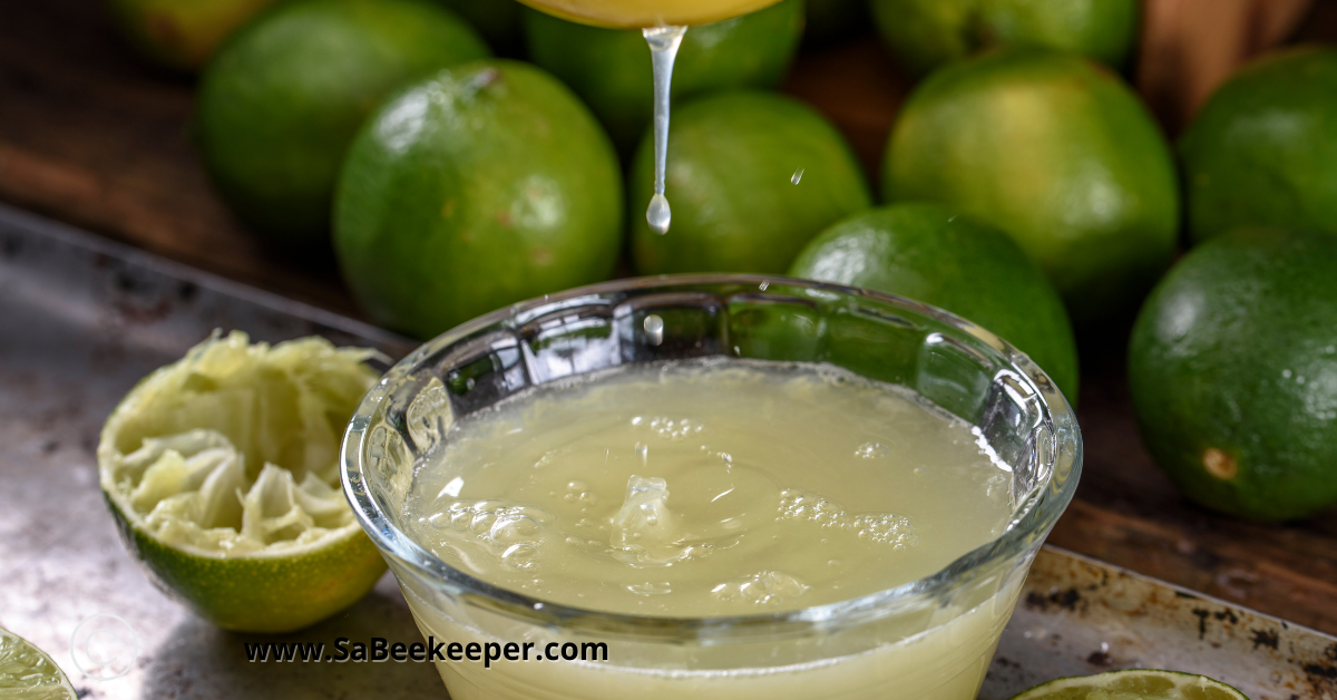 sieving the limes for juices once blended