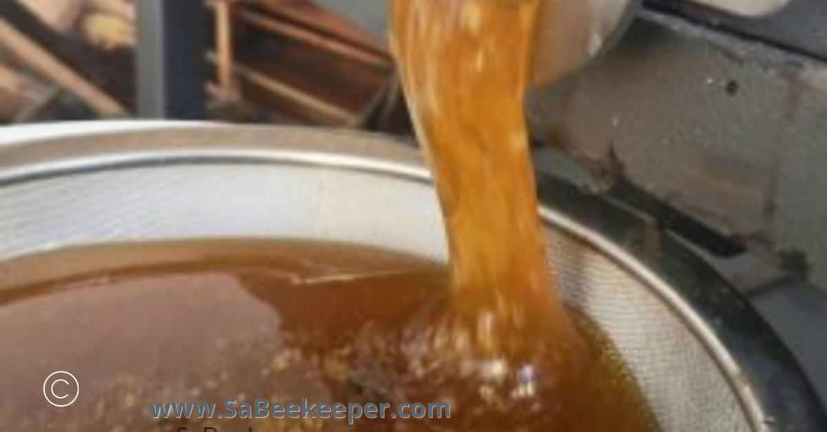 see how the golden honey runs. from a valve in a honey swinger into a sieve and then a bucket.