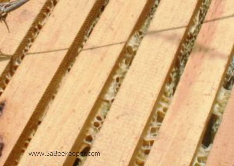 top of the frames of a super from a beehive to view the state of the wax if it is ready to obtain honey from.